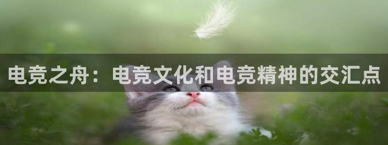 乐鱼电竞