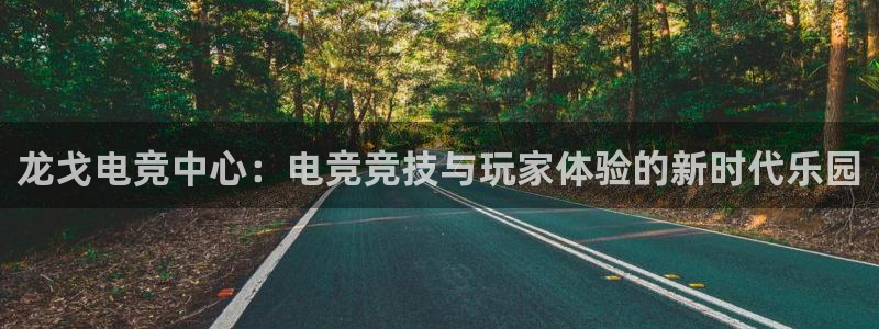 乐鱼电竞下载