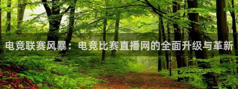 乐鱼电竞下载