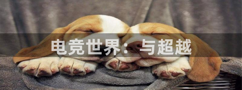 乐鱼电竞平台