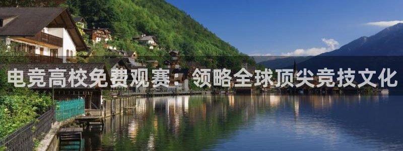 乐鱼电竞下载