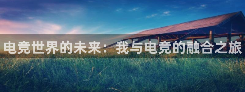 乐鱼电竞app