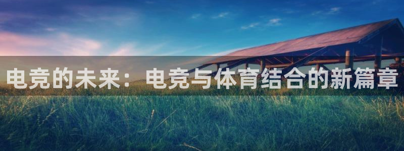 乐鱼电竞平台