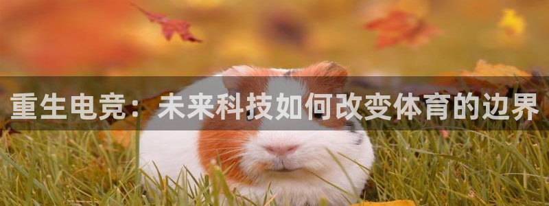 乐鱼电竞app下载
